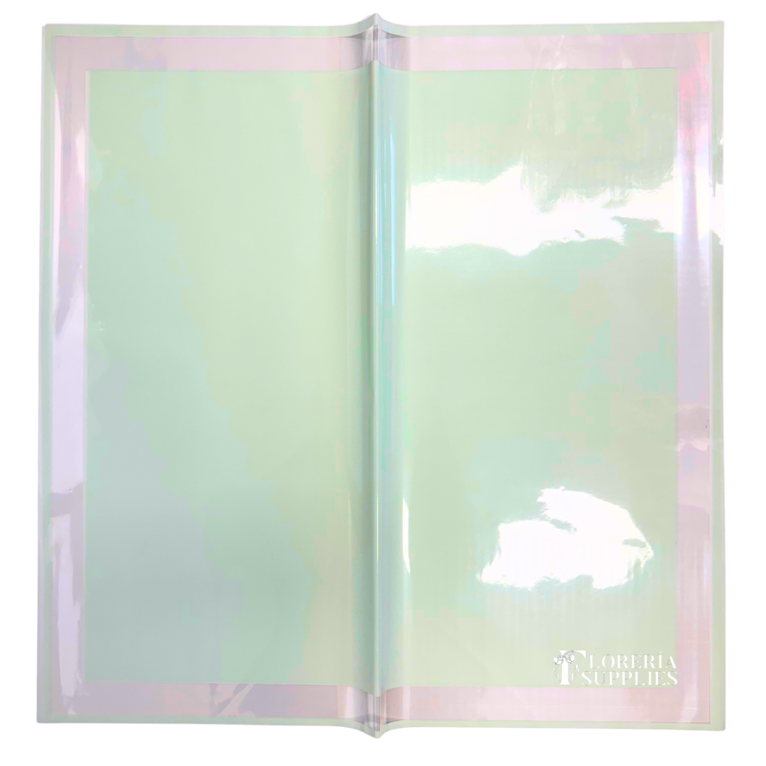 Clear Frame Floral Wrapping Paper - Mint Green