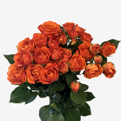 SPRAY ROSES ORANGE