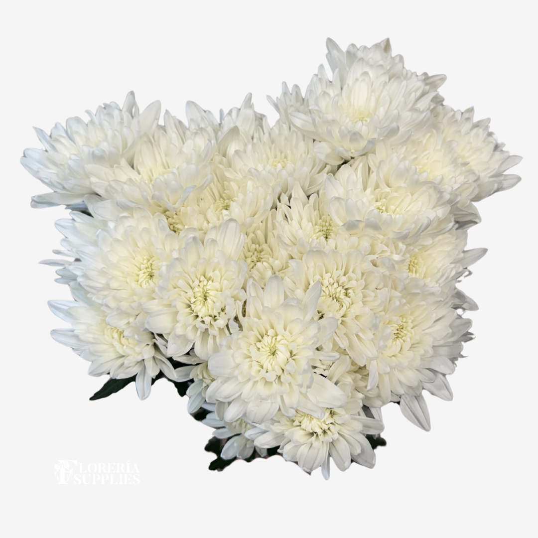 POMPOM CUSHION WHITE