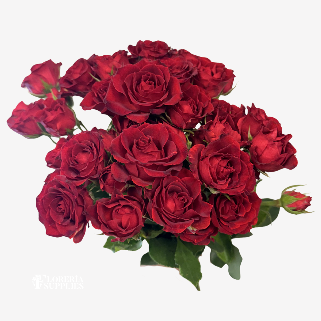 SPRAY ROSES RED