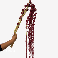 ANTHURIUM ASSORTED (SPECIAL ORDER ONLY)