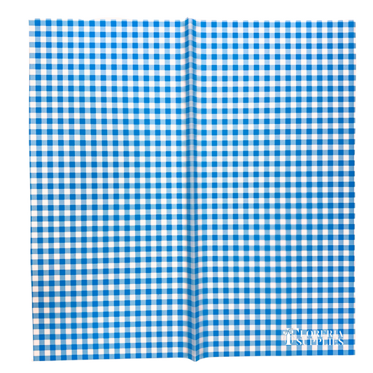 Gingham Print - Blue