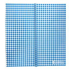 Gingham Print - Blue