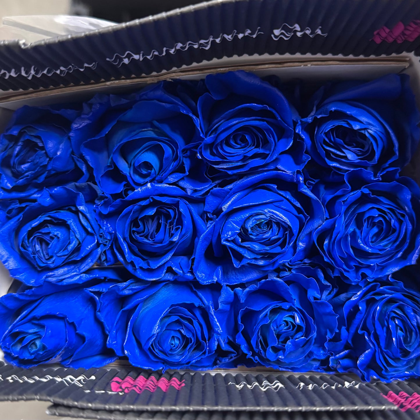 BLUE TINTED ROSES
