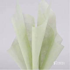 Green Cotton Tissue Paper - 36 Sheets 44x58cm