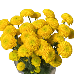 POMPOM BUTTON YELLOW