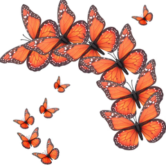 Plastic Butterfly Decor