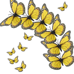 Plastic Butterfly Decor
