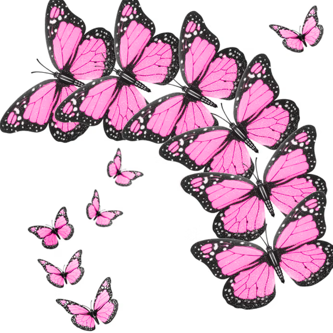 Plastic Butterfly Decor