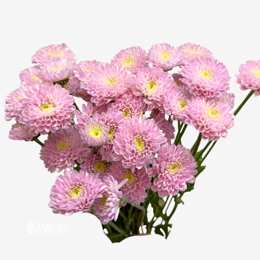 POMPOM BUTTON PINK