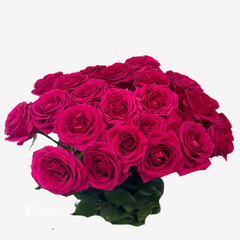 SPRAY ROSES HOT PINK