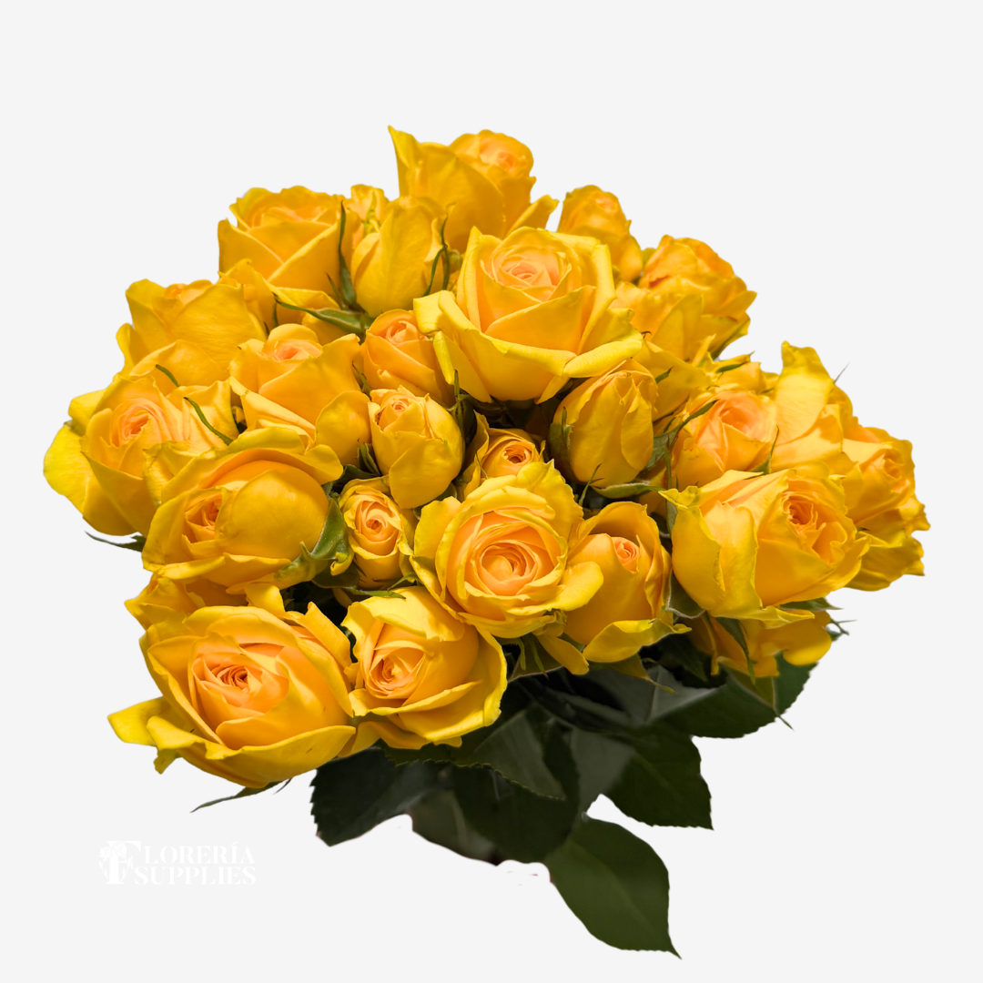 SPRAY ROSES YELLOW