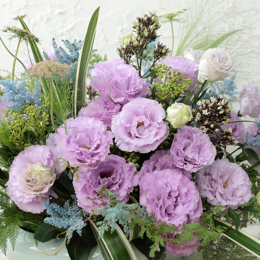 Lisianthus (10 stems)