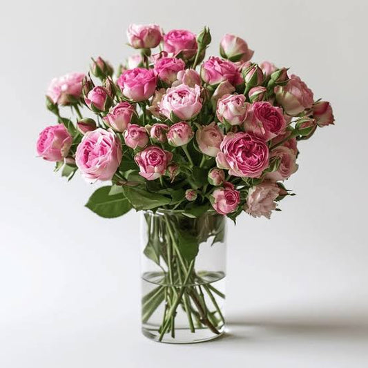 Spray Roses (10 stems)